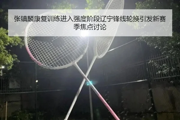 张镇麟康复训练进入强度阶段辽宁锋线轮换引发新赛季焦点讨论 | JIUYOUSPORTS